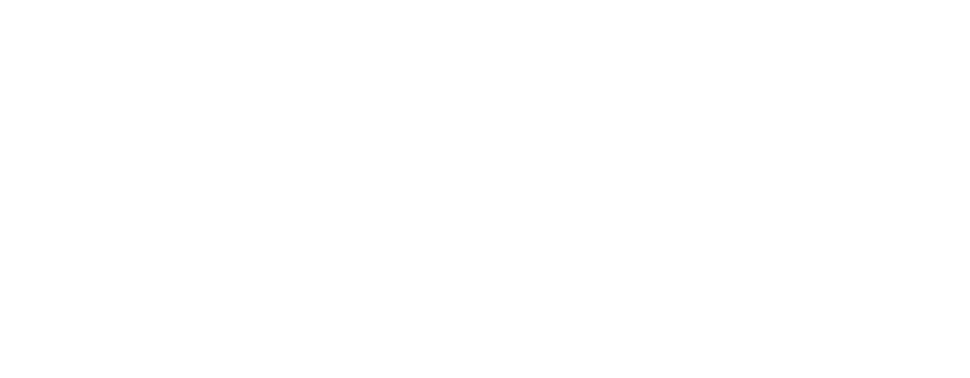 PI²M